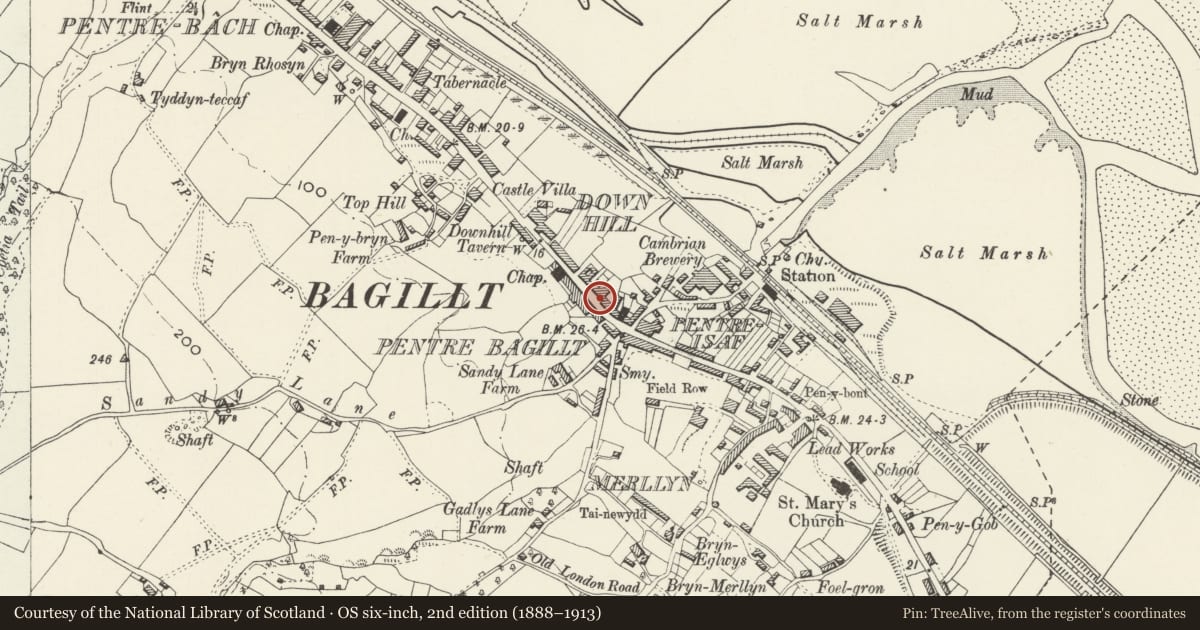 Ordnance Survey six-inch map, 2nd edition (1888–1913) covering the location of Forester's Hall (Cocoa Rooms), Bagillt, Flintshire, with a pin at the register's coordinates