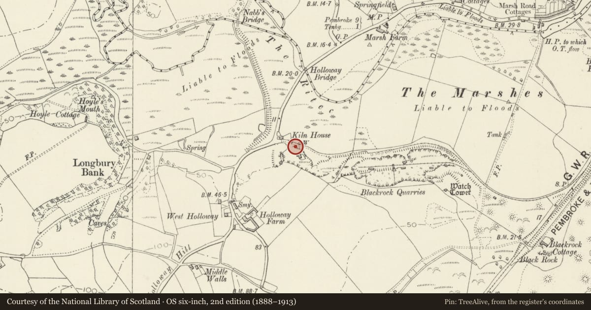 Ordnance Survey six-inch map, 2nd edition (1888–1913) covering the location of Single Kiln, Penally, Pembrokeshire, with a pin at the register's coordinates