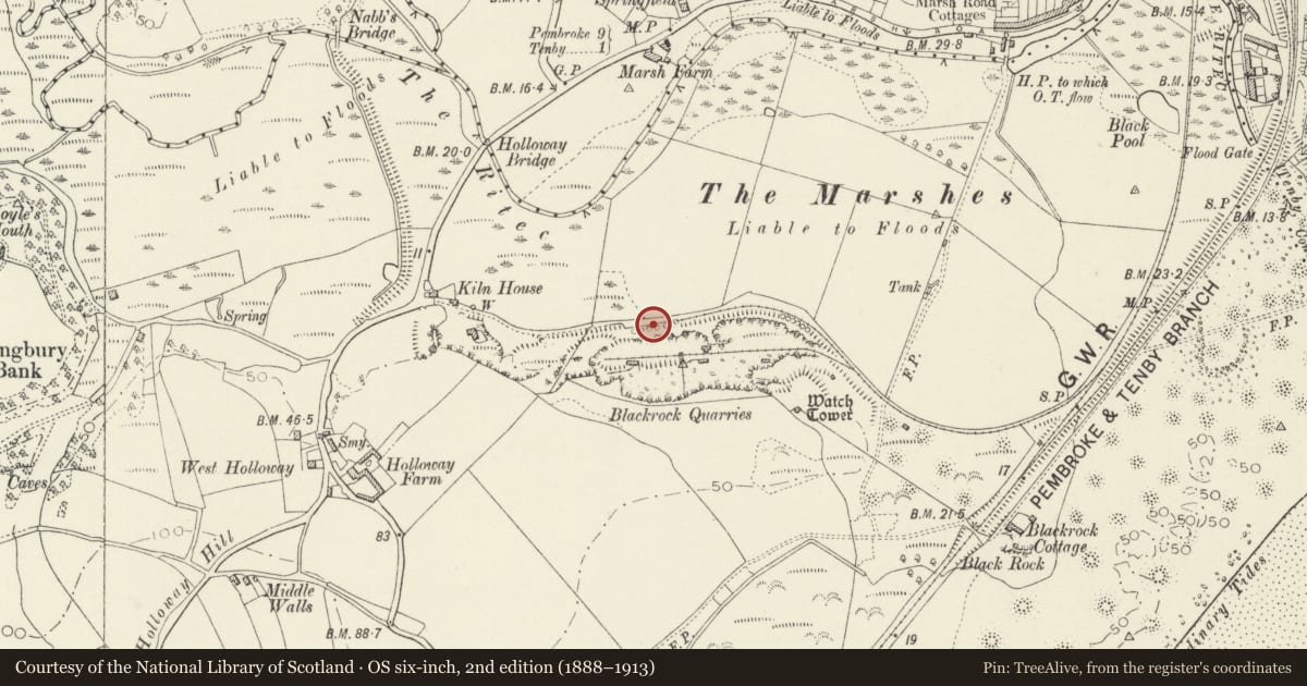 Ordnance Survey six-inch map, 2nd edition (1888–1913) covering the location of West Set of Kilns, Penally, Pembrokeshire, with a pin at the register's coordinates