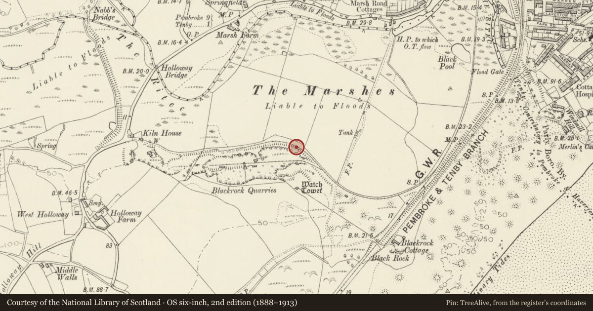 Ordnance Survey six-inch map, 2nd edition (1888–1913) covering the location of East Set of Kilns, Penally, Pembrokeshire, with a pin at the register's coordinates