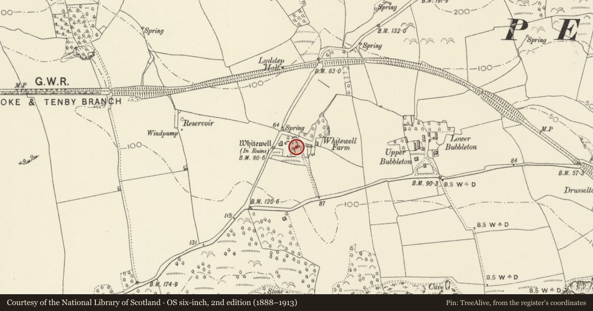 Ordnance Survey six-inch map, 2nd edition (1888–1913) covering the location of Whitewell Ruins - Structure B, Penally, Pembrokeshire, with a pin at the register's coordinates