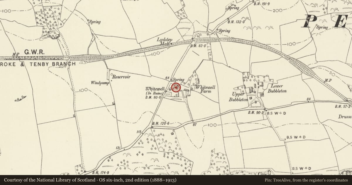 Ordnance Survey six-inch map, 2nd edition (1888–1913) covering the location of Whitewell Ruins - Structure C, Penally, Pembrokeshire, with a pin at the register's coordinates