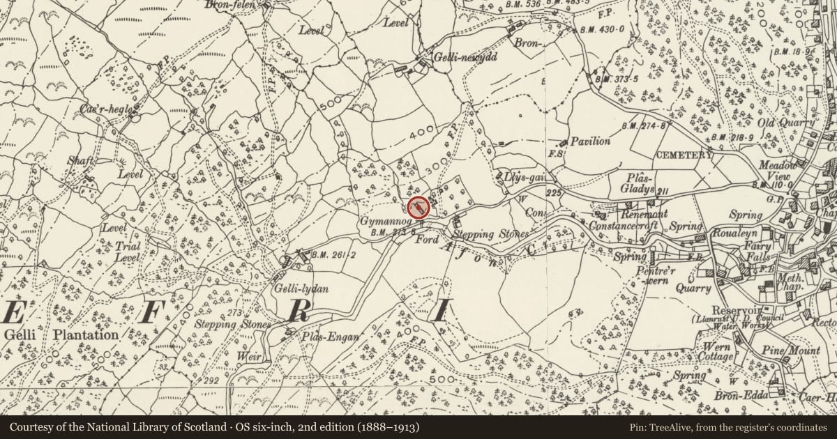 Ordnance Survey six-inch map, 2nd edition (1888–1913) covering the location of Barn to the W of Cwmannog, Trefriw, Conwy, with a pin at the register's coordinates