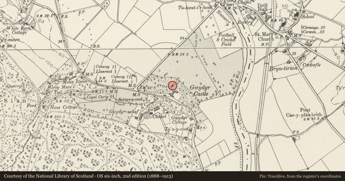 Ordnance Survey six-inch map, 2nd edition (1888–1913) covering the location of Terrace arch and associated garden walls at Gwydir Castle, Trefriw, Conwy, with a pin at the register's coordinates