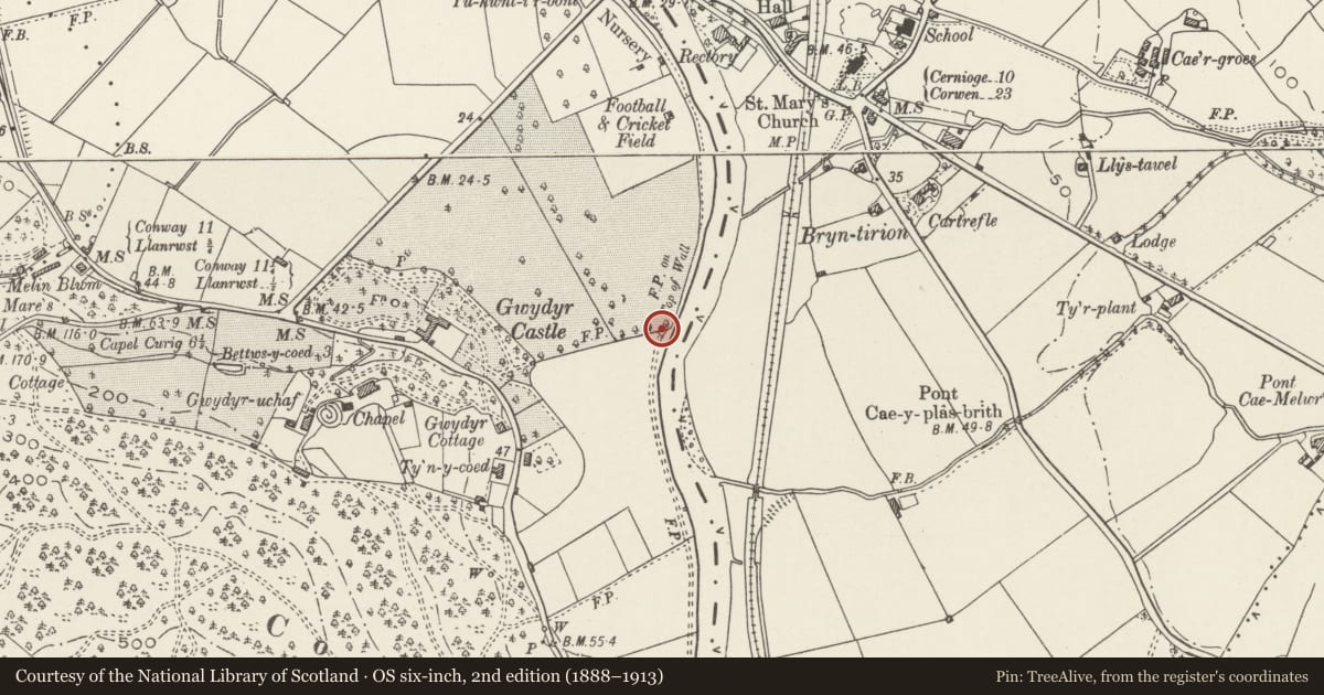 Ordnance Survey six-inch map, 2nd edition (1888–1913) covering the location of Raised walk at Gwydir Castle, Trefriw, Conwy, with a pin at the register's coordinates