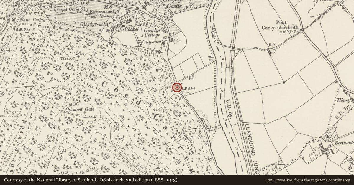 Ordnance Survey six-inch map, 2nd edition (1888–1913) covering the location of Ffynnon Gowper, Trefriw, Conwy, with a pin at the register's coordinates