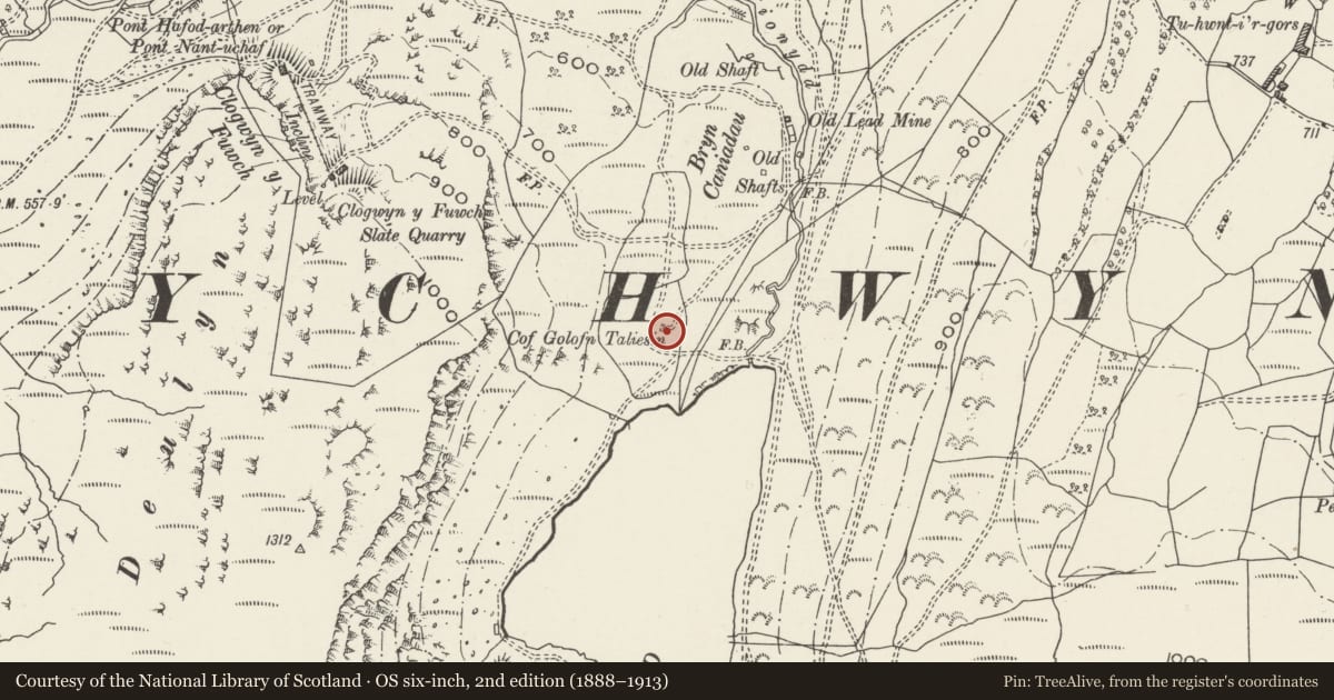 Ordnance Survey six-inch map, 2nd edition (1888–1913) covering the location of Taliesin Monument, Trefriw, Conwy, with a pin at the register's coordinates