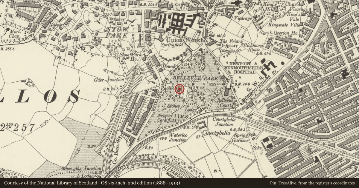 Ordnance Survey six-inch map, 2nd edition (1888–1913) covering the location of Pavilion and attached Conservatories, Stow Hill, Newport, with a pin at the register's coordinates