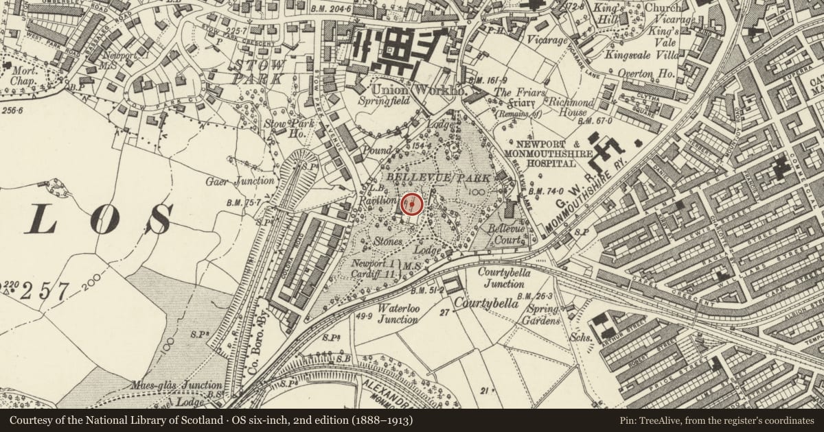 Ordnance Survey six-inch map, 2nd edition (1888–1913) covering the location of Terracing below Pavilion and Conservatories, Stow Hill, Newport, with a pin at the register's coordinates