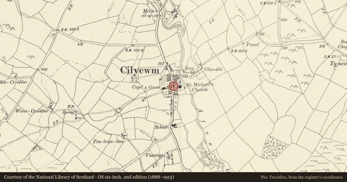 Ordnance Survey six-inch map, 2nd edition (1888–1913) covering the location of Lychgate to parish walls, Cilycwm, Carmarthenshire, with a pin at the register's coordinates