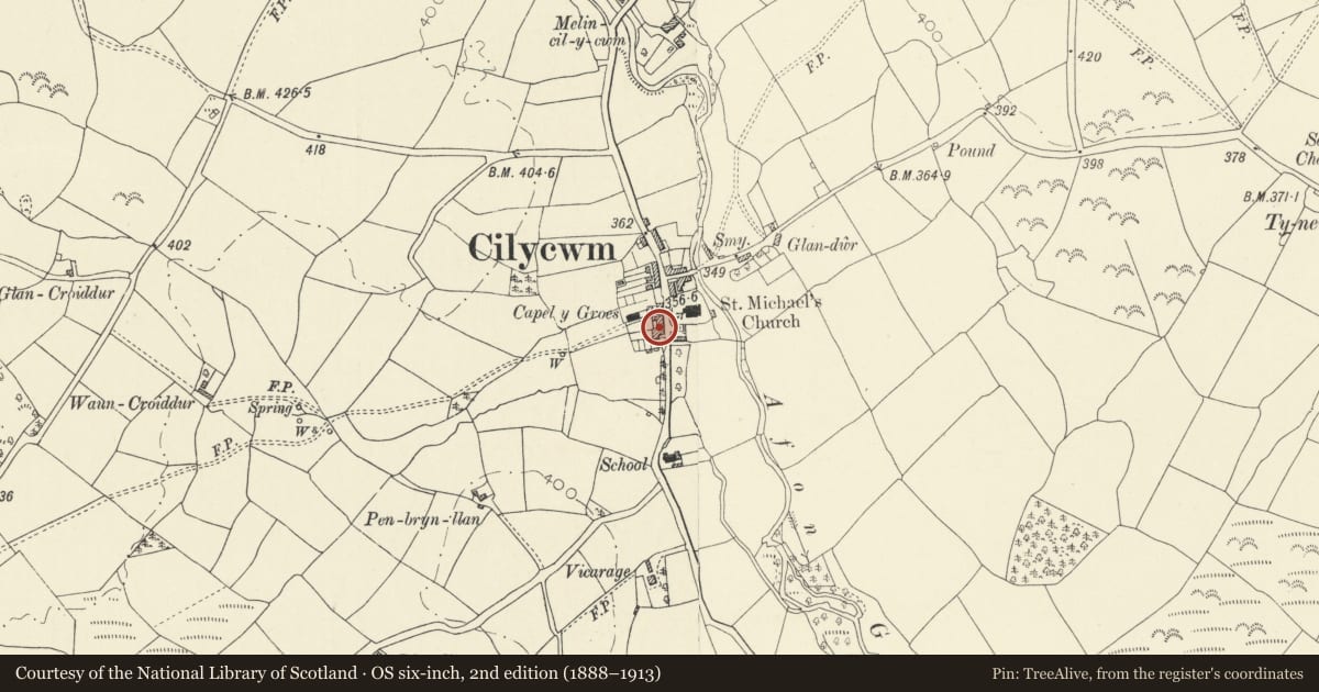 Ordnance Survey six-inch map, 2nd edition (1888–1913) covering the location of Llyswen, Cilycwm, Carmarthenshire, with a pin at the register's coordinates