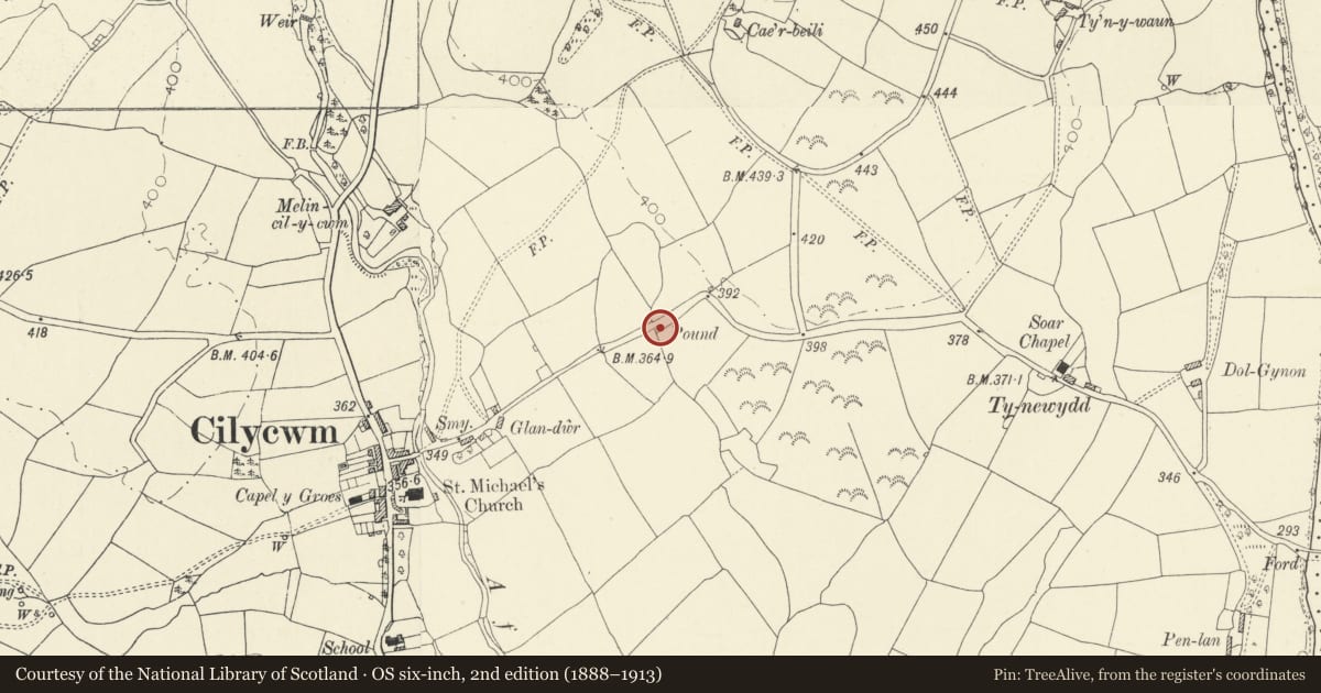 Ordnance Survey six-inch map, 2nd edition (1888–1913) covering the location of The Pound, Cilycwm, Carmarthenshire, with a pin at the register's coordinates