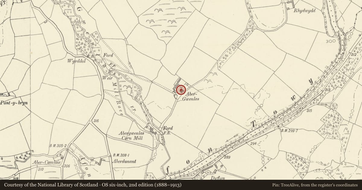 Ordnance Survey six-inch map, 2nd edition (1888–1913) covering the location of Abergwenlais, Cilycwm, Carmarthenshire, with a pin at the register's coordinates