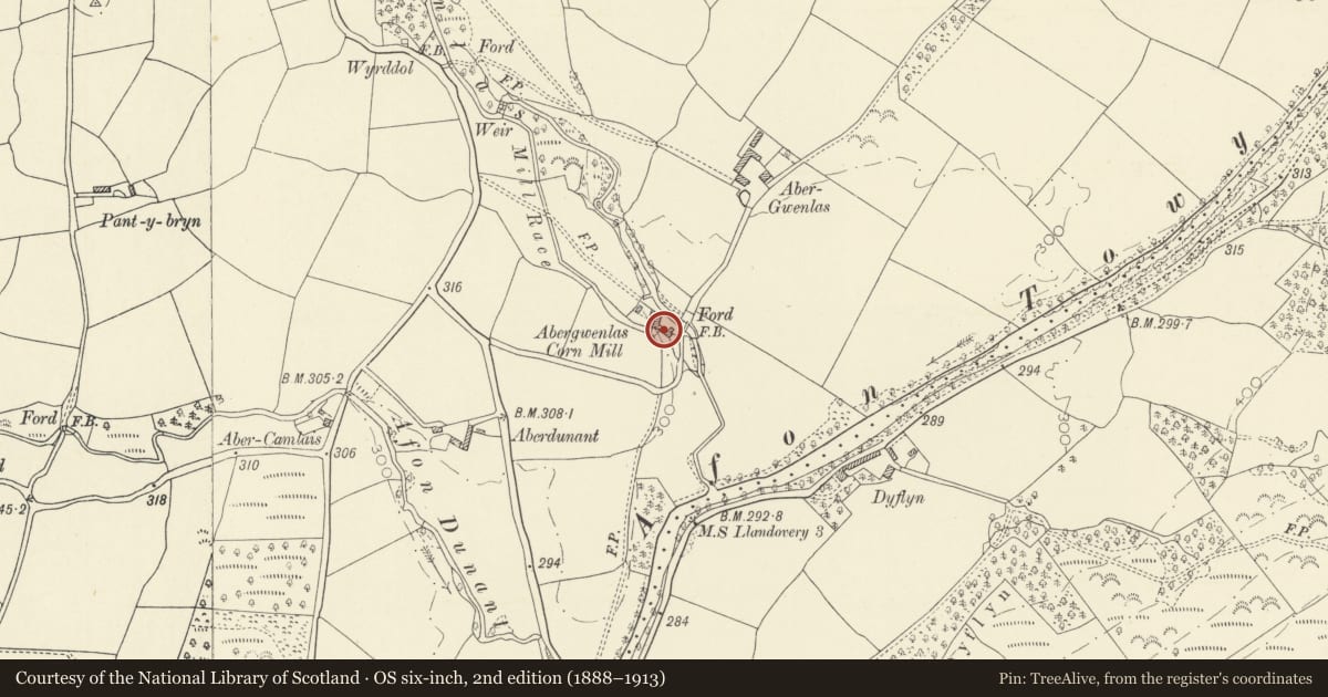 Ordnance Survey six-inch map, 2nd edition (1888–1913) covering the location of Abergwenlais Mill, Cilycwm, Carmarthenshire, with a pin at the register's coordinates