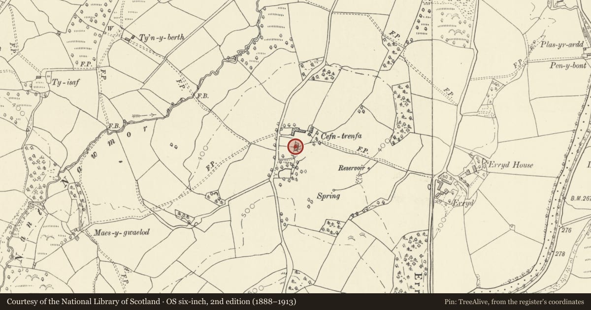 Ordnance Survey six-inch map, 2nd edition (1888–1913) covering the location of Cefn Trenfa, Cilycwm, Carmarthenshire, with a pin at the register's coordinates