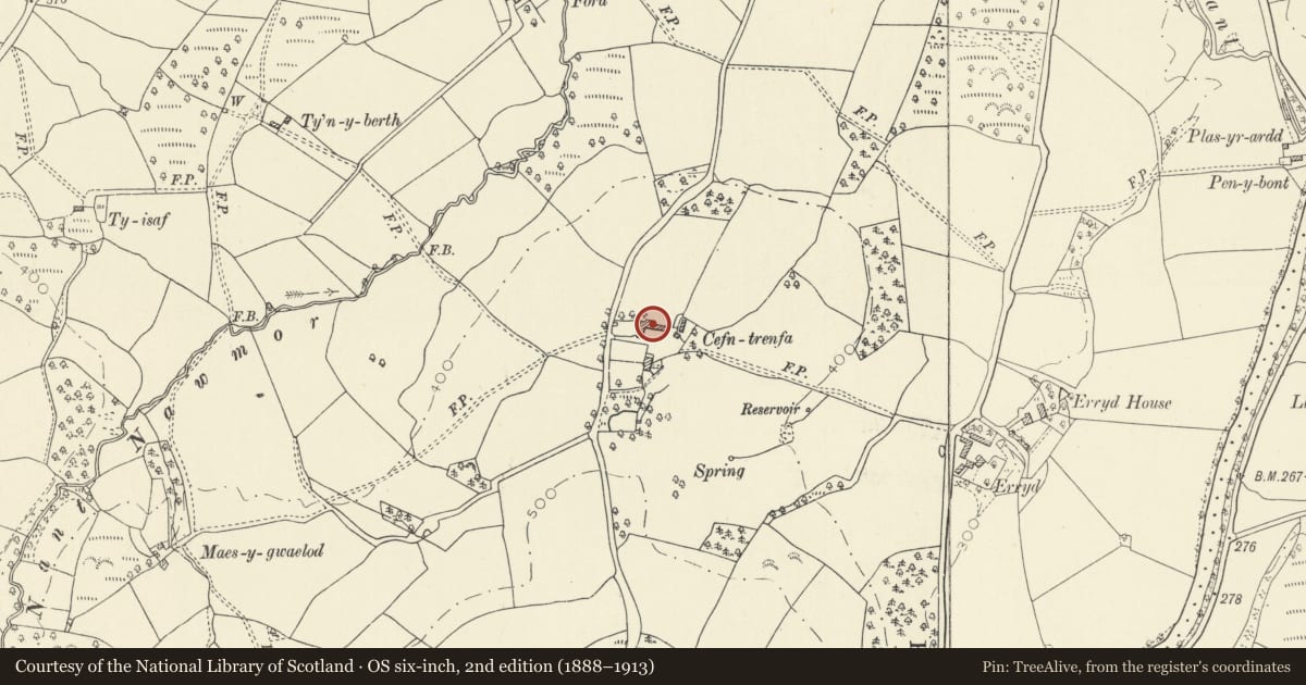 Ordnance Survey six-inch map, 2nd edition (1888–1913) covering the location of Outbuildings to N of Cefn Trenfa, Cilycwm, Carmarthenshire, with a pin at the register's coordinates