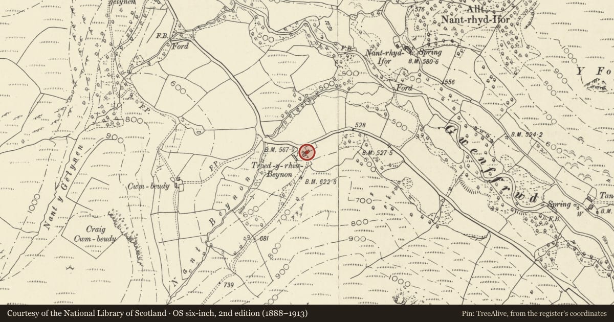 Ordnance Survey six-inch map, 2nd edition (1888–1913) covering the location of Troedrhiwbeynon, Cilycwm, Carmarthenshire, with a pin at the register's coordinates