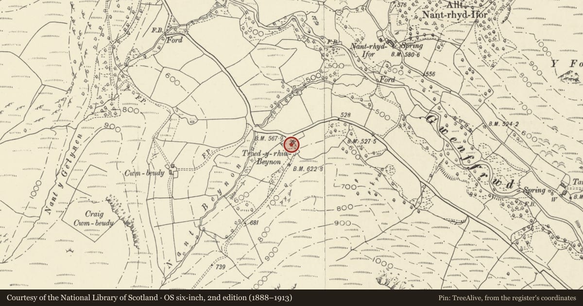 Ordnance Survey six-inch map, 2nd edition (1888–1913) covering the location of Cowshed at Troedrhiwbeynon, Cilycwm, Carmarthenshire, with a pin at the register's coordinates