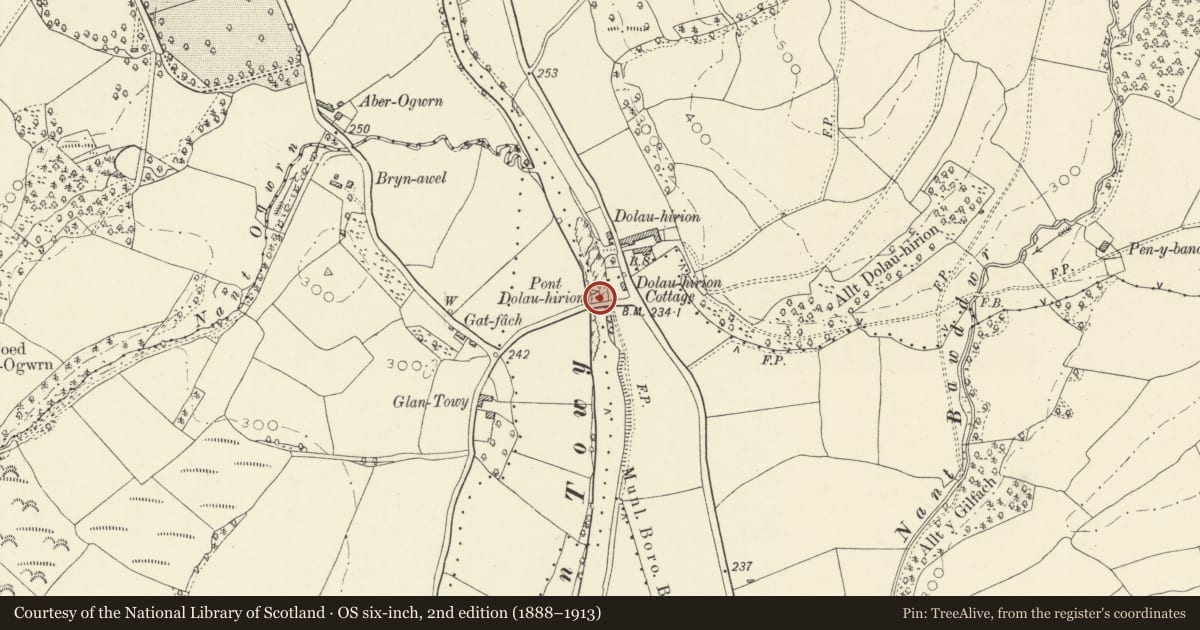 Ordnance Survey six-inch map, 2nd edition (1888–1913) covering the location of Dolauhirion Bridge (partly in Llandovery community), Cilycwm, Carmarthenshire, with a pin at the register's coordinates