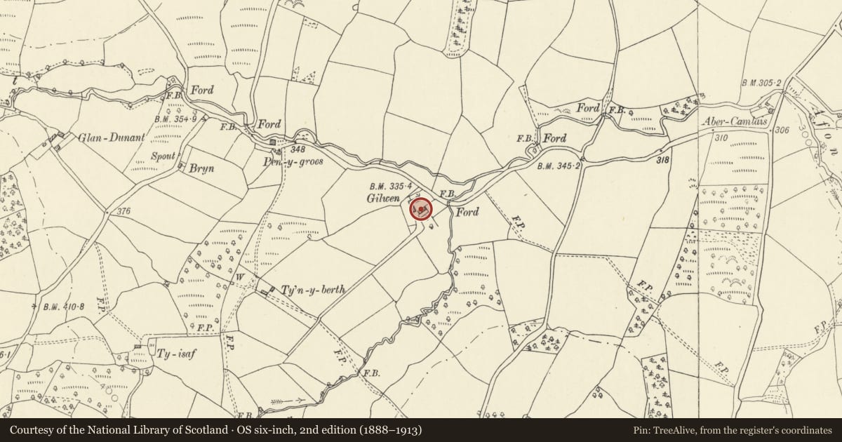 Ordnance Survey six-inch map, 2nd edition (1888–1913) covering the location of Gilwen, Cilycwm, Carmarthenshire, with a pin at the register's coordinates