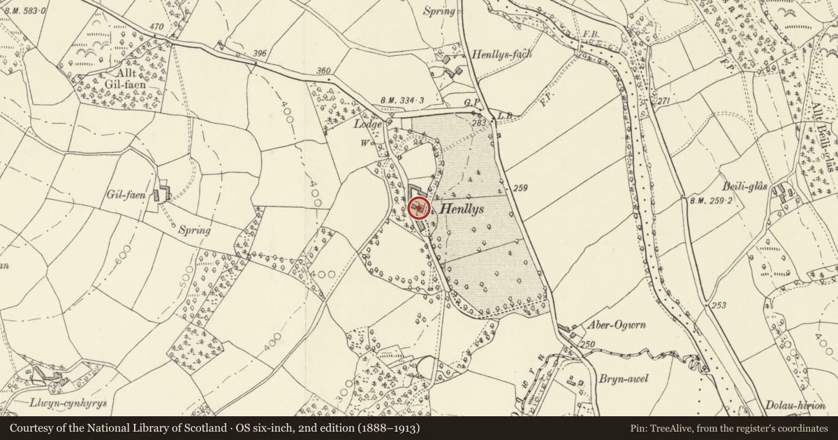 Ordnance Survey six-inch map, 2nd edition (1888–1913) covering the location of Baliff's House at Henllys, Cilycwm, Carmarthenshire, with a pin at the register's coordinates