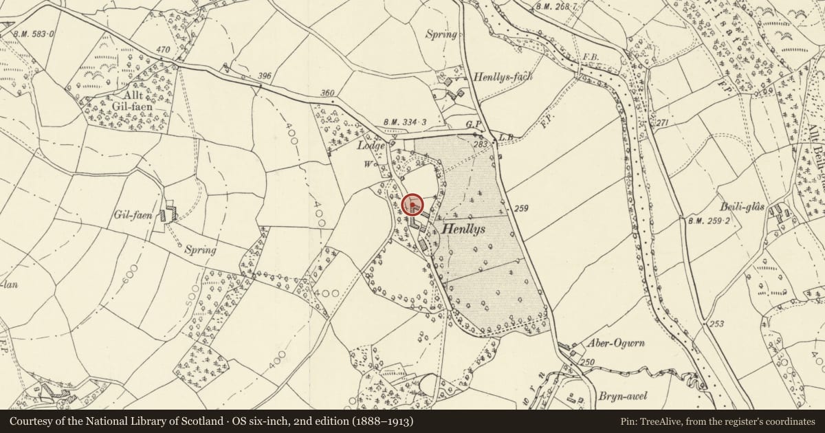 Ordnance Survey six-inch map, 2nd edition (1888–1913) covering the location of Stable and carthouse range at NW angle of farm yard at Henllys, Cilycwm, Carmarthenshire, with a pin at the register's coordinates