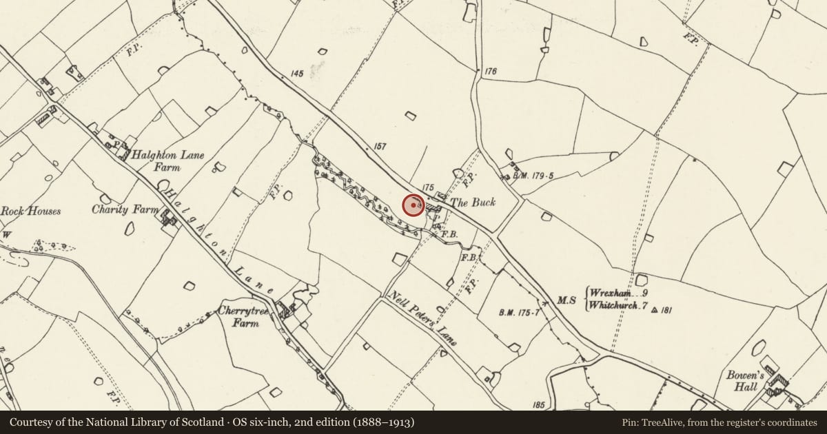 Ordnance Survey six-inch map, 2nd edition (1888–1913) covering the location of Buck Farm, Willington Worthenbury, Wrexham, with a pin at the register's coordinates