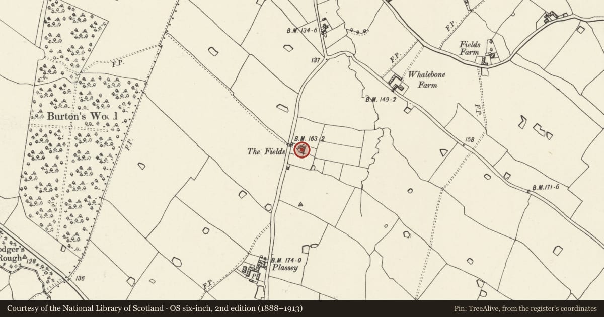 Ordnance Survey six-inch map, 2nd edition (1888–1913) covering the location of The Fields, Willington Worthenbury, Wrexham, with a pin at the register's coordinates