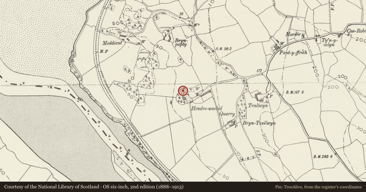 Ordnance Survey six-inch map, 2nd edition (1888–1913) covering the location of Hendrewaelod, Llansanffraid Glan Conwy, Conwy, with a pin at the register's coordinates