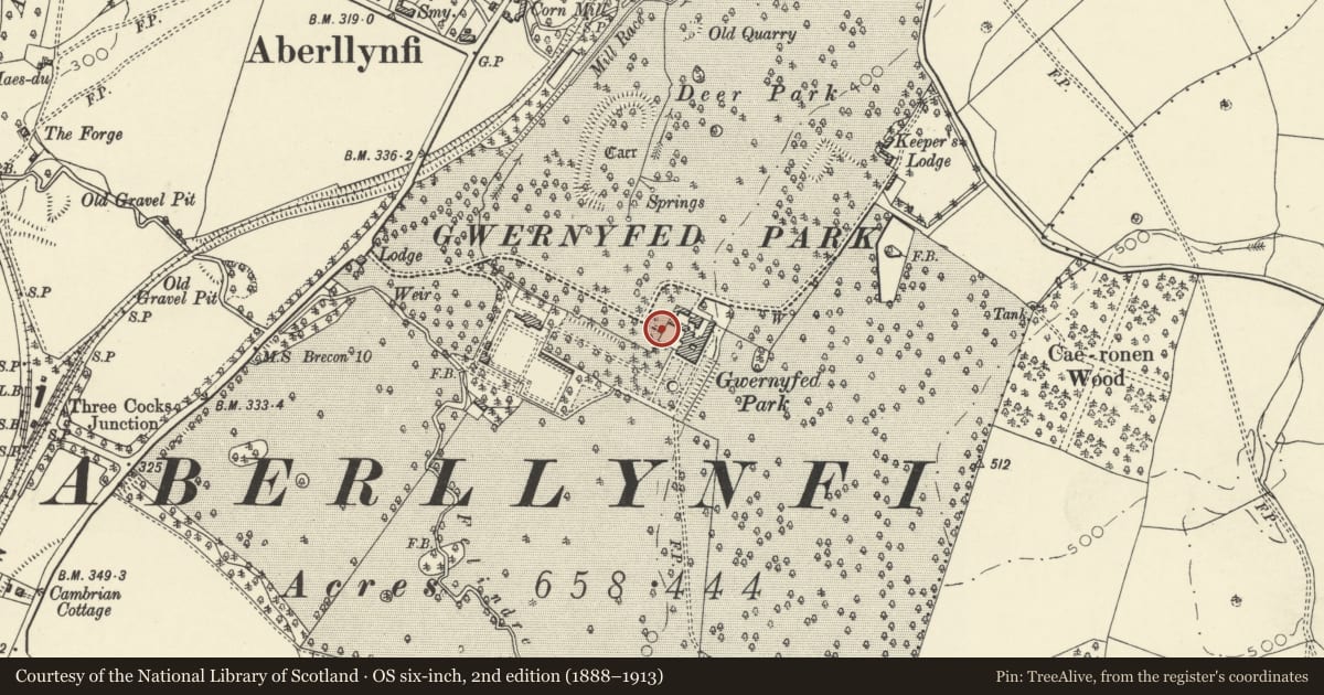 Ordnance Survey six-inch map, 2nd edition (1888–1913) covering the location of Front railed screen and gate piers at Gwernyfed High School, Powys, with a pin at the register's coordinates