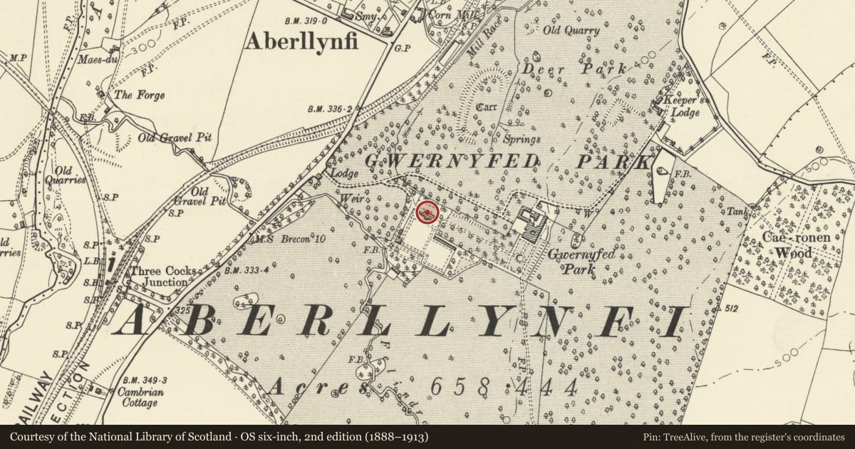 Ordnance Survey six-inch map, 2nd edition (1888–1913) covering the location of Glasshouses in kitchen garden at Gwernyfed High School, Powys, with a pin at the register's coordinates