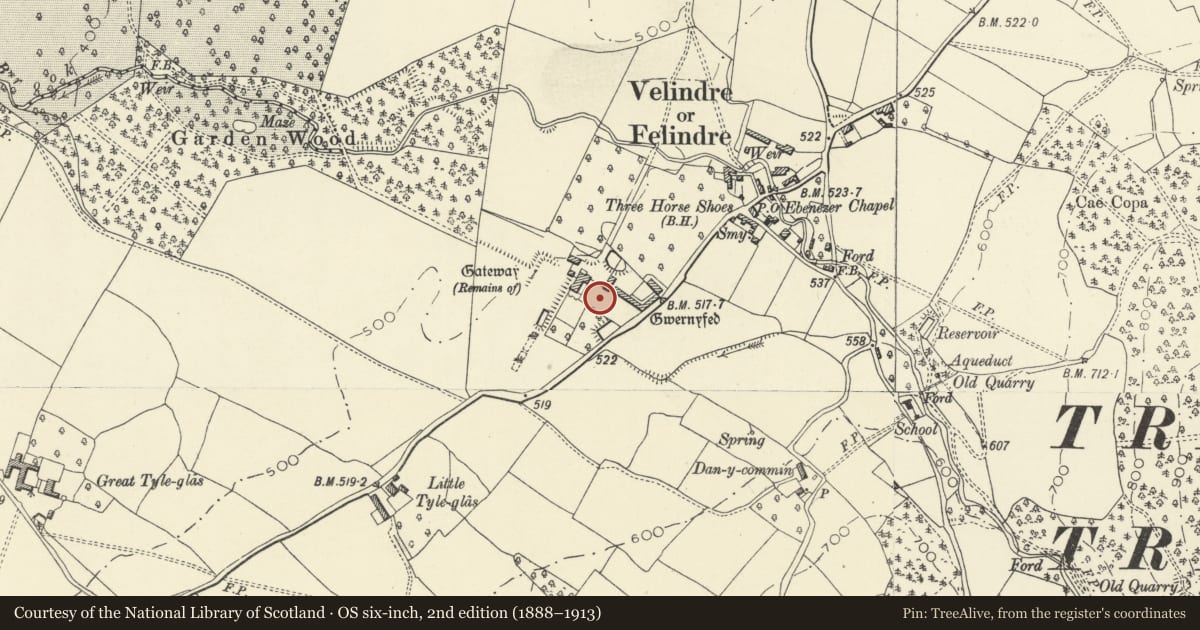 Ordnance Survey six-inch map, 2nd edition (1888–1913) covering the location of Gatepiers to inner court in front of Old Gwernyfed with garden walls on each side, Powys, with a pin at the register's coordinates