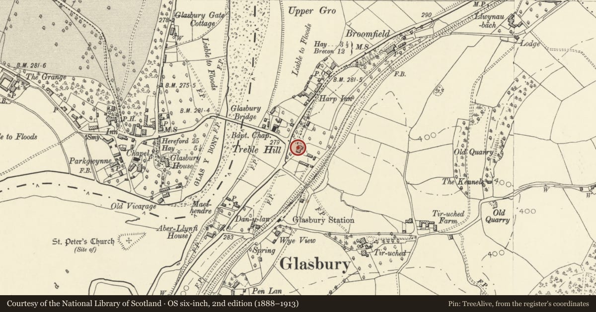 Ordnance Survey six-inch map, 2nd edition (1888–1913) covering the location of Treble Hill, Gwernyfed, Powys, with a pin at the register's coordinates