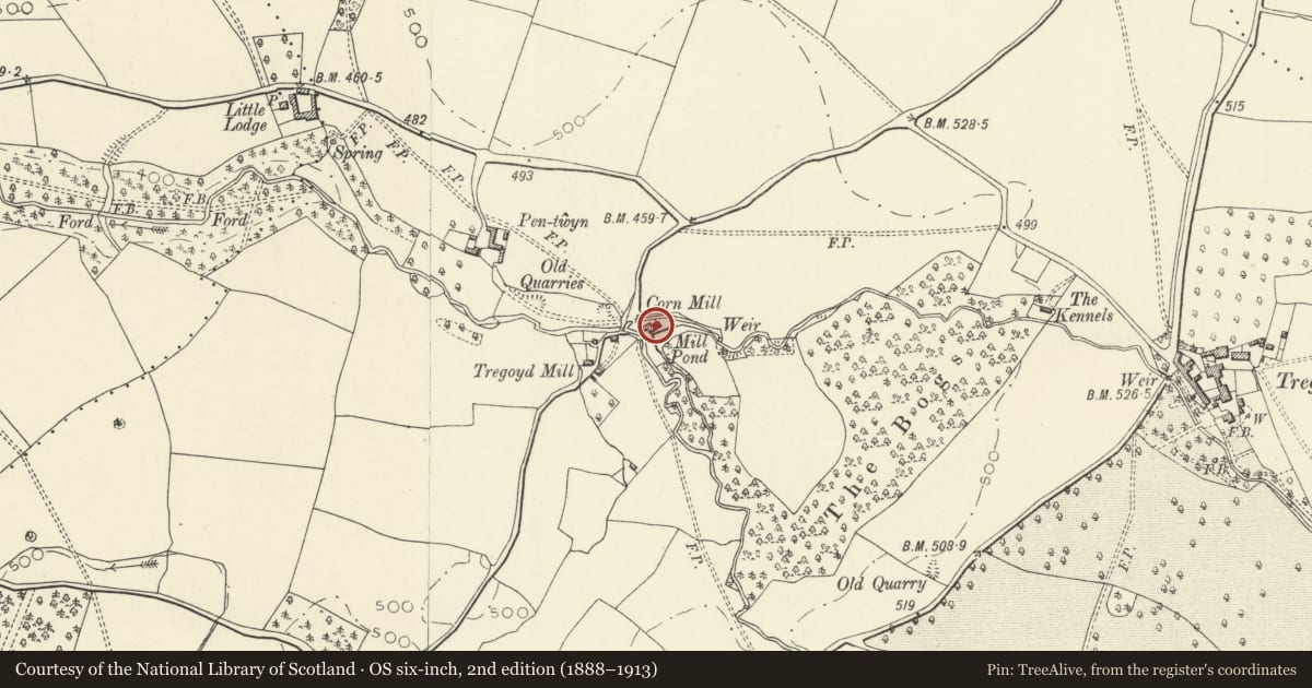 Ordnance Survey six-inch map, 2nd edition (1888–1913) covering the location of Tregoyd Mill House, Gwernyfed, Powys, with a pin at the register's coordinates