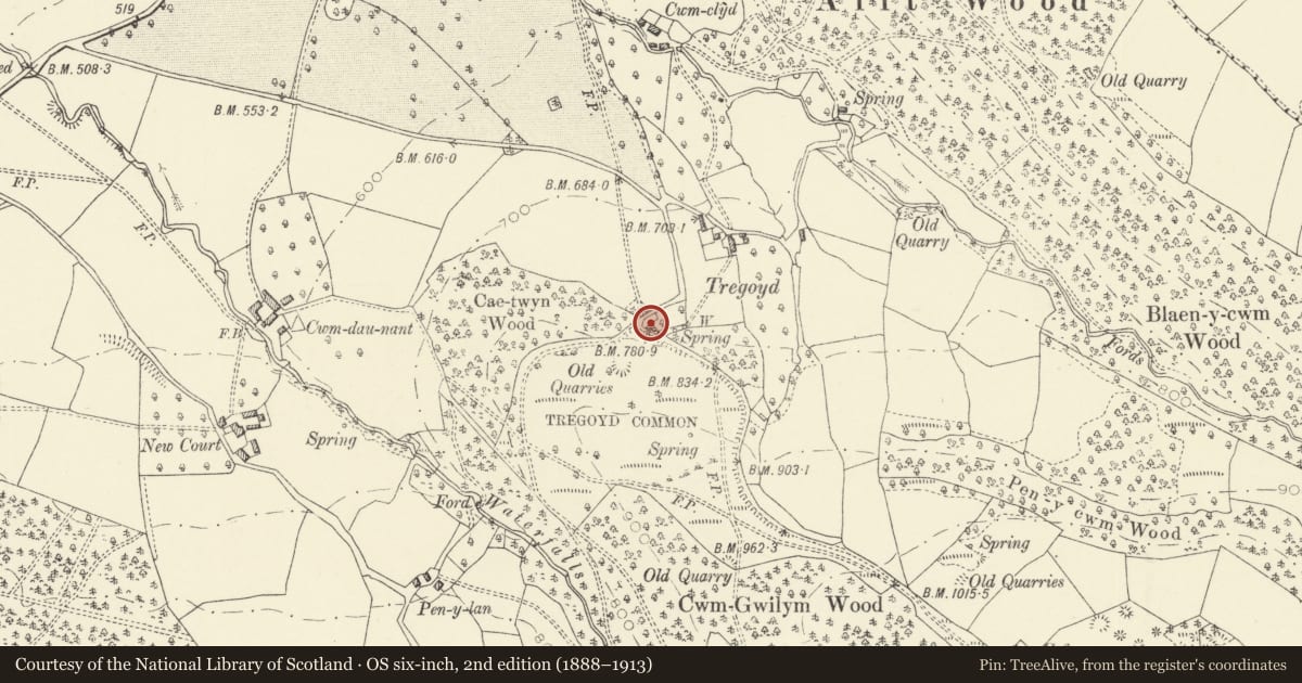 Ordnance Survey six-inch map, 2nd edition (1888–1913) covering the location of Windsor Castle Cottage (Ty twyn), Gwernyfed, Powys, with a pin at the register's coordinates