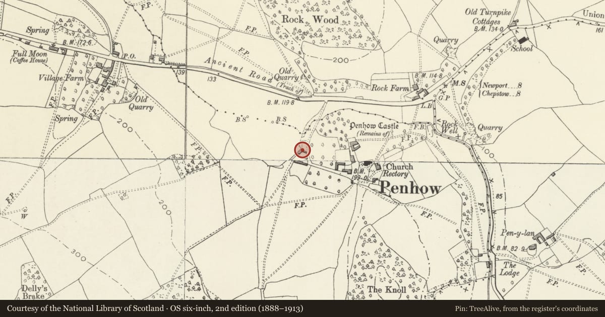 Ordnance Survey six-inch map, 2nd edition (1888–1913) covering the location of L-shaped Byre Range to far SW of Penhow Castle, Newport, with a pin at the register's coordinates