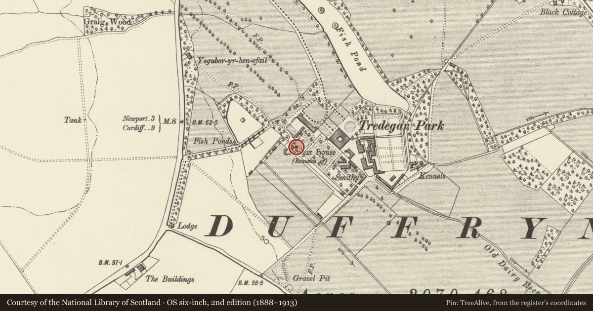Ordnance Survey six-inch map, 2nd edition (1888–1913) covering the location of Boundary Walls to Orangery Garden and Cedar Garden including three sets of gatepiers, Coedkernew, Newport, with a pin at the register's coordinates