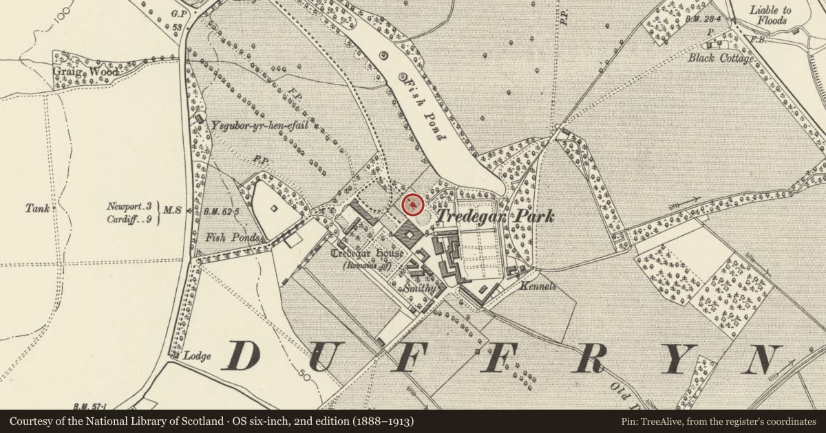 Ordnance Survey six-inch map, 2nd edition (1888–1913) covering the location of Ruperra Gates to NE of Tredegar House, Coedkernew, Newport, with a pin at the register's coordinates