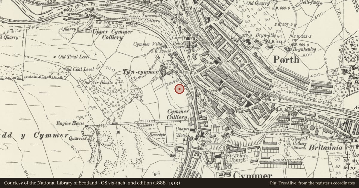 Ordnance Survey six-inch map, 2nd edition (1888–1913) covering the location of Bronwydd House and attached front terrace, Porth, Rhondda Cynon Taff, with a pin at the register's coordinates