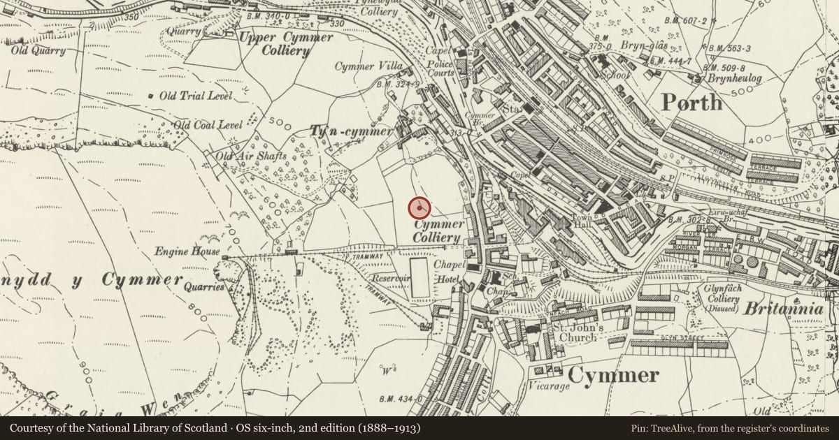 Ordnance Survey six-inch map, 2nd edition (1888–1913) covering the location of Entrance gate piers and railings to Bronwydd Park, Porth, Rhondda Cynon Taff, with a pin at the register's coordinates
