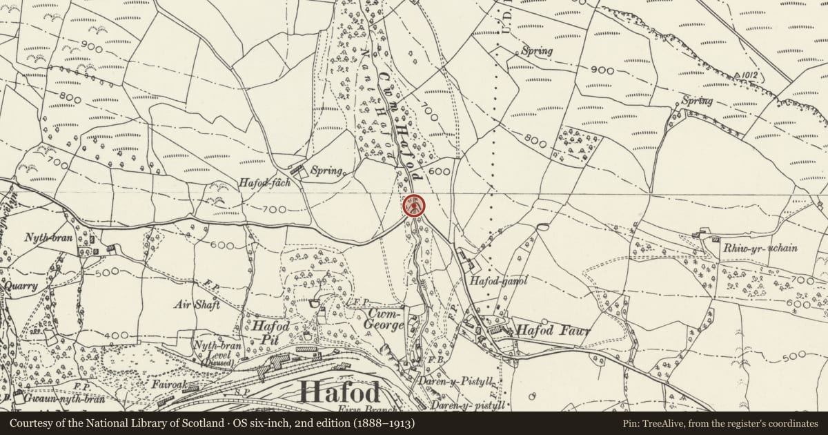 Ordnance Survey six-inch map, 2nd edition (1888–1913) covering the location of Bridge over Cwm Hafod, Trehafod, Rhondda Cynon Taff, with a pin at the register's coordinates