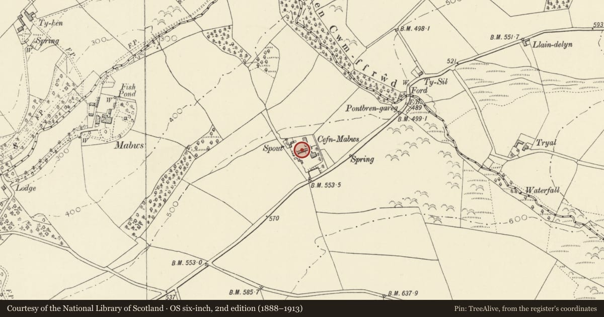 Ordnance Survey six-inch map, 2nd edition (1888–1913) covering the location of Attached range of outbuildings at Cefnmabws, Llanrhystyd, Ceredigion, with a pin at the register's coordinates