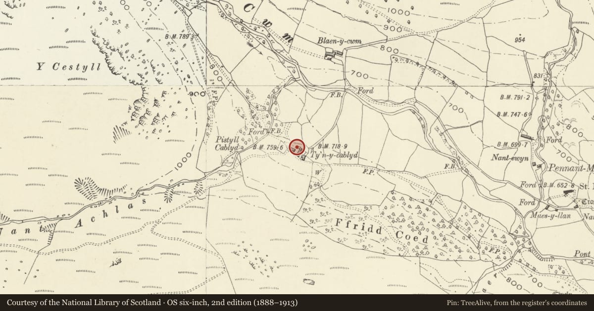 Ordnance Survey six-inch map, 2nd edition (1888–1913) covering the location of Tyn-y-Cablyd, Llangynog, Powys, with a pin at the register's coordinates