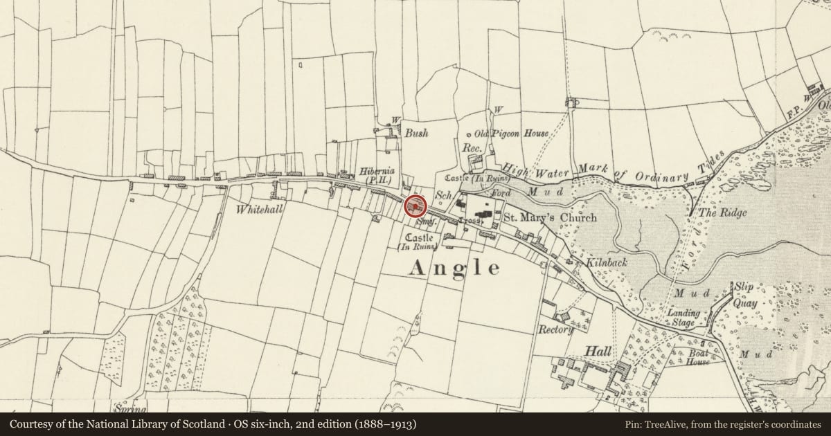 Ordnance Survey six-inch map, 2nd edition (1888–1913) covering the location of The Globe Hotel, Angle, Pembrokeshire, with a pin at the register's coordinates