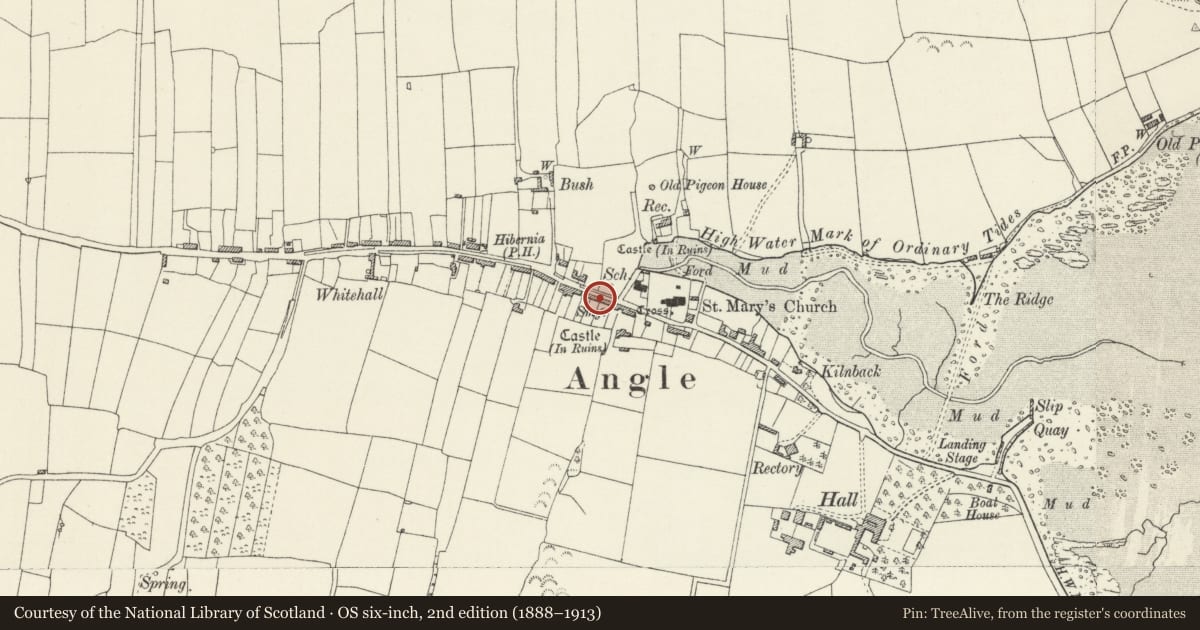 Ordnance Survey six-inch map, 2nd edition (1888–1913) covering the location of 12, Angle, Pembrokeshire, with a pin at the register's coordinates