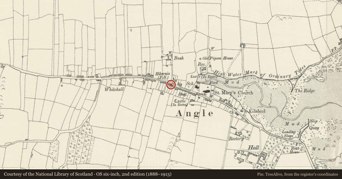 Ordnance Survey six-inch map, 2nd edition (1888–1913) covering the location of 18 Angle Village, Pembrokeshire, with a pin at the register's coordinates