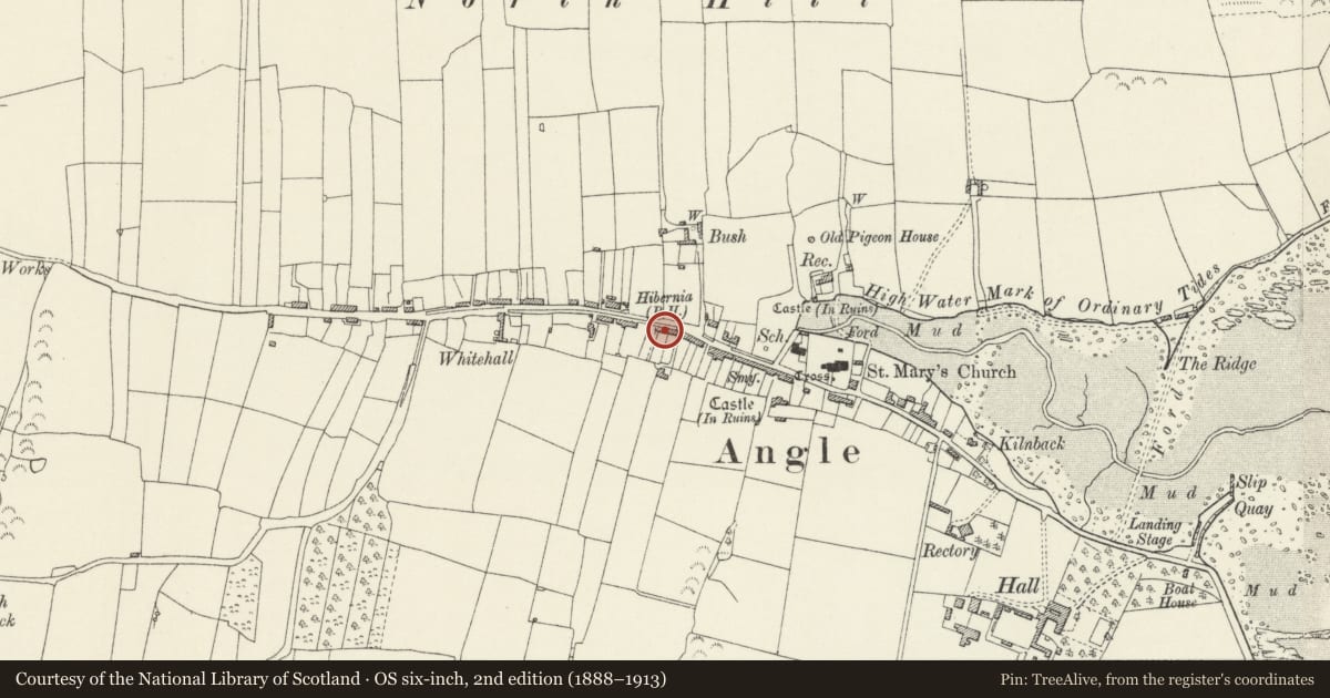 Ordnance Survey six-inch map, 2nd edition (1888–1913) covering the location of 22, Angle, Pembrokeshire, with a pin at the register's coordinates
