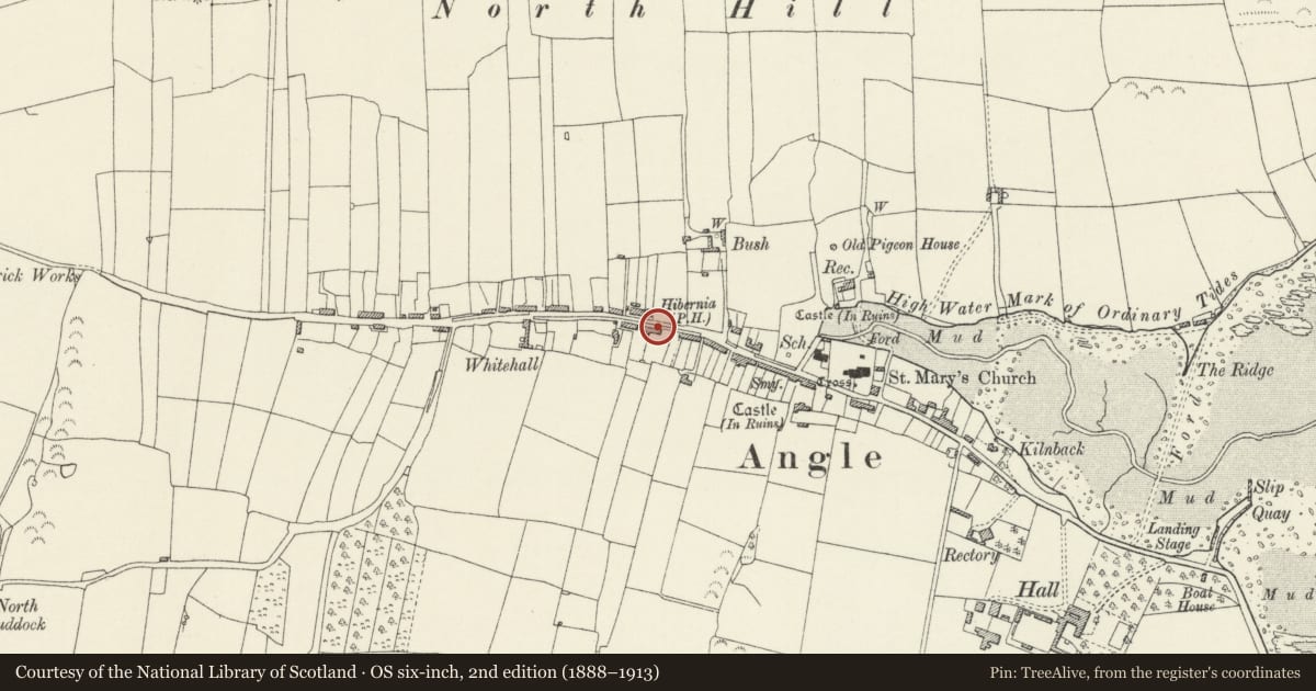 Ordnance Survey six-inch map, 2nd edition (1888–1913) covering the location of 24, Angle, Pembrokeshire, with a pin at the register's coordinates