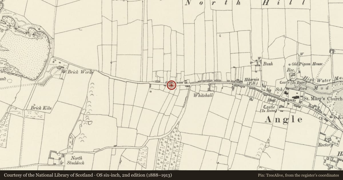 Ordnance Survey six-inch map, 2nd edition (1888–1913) covering the location of 35, Angle, Pembrokeshire, with a pin at the register's coordinates