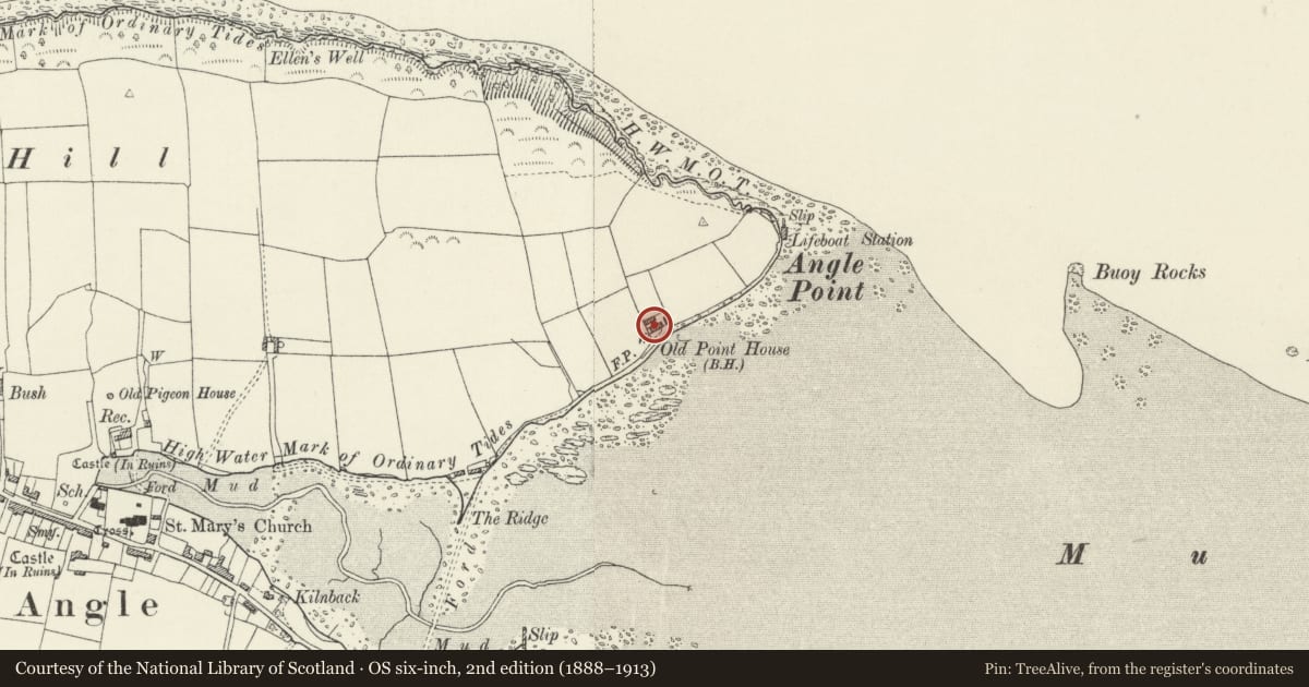 Ordnance Survey six-inch map, 2nd edition (1888–1913) covering the location of The Old Point House, Angle, Pembrokeshire, with a pin at the register's coordinates